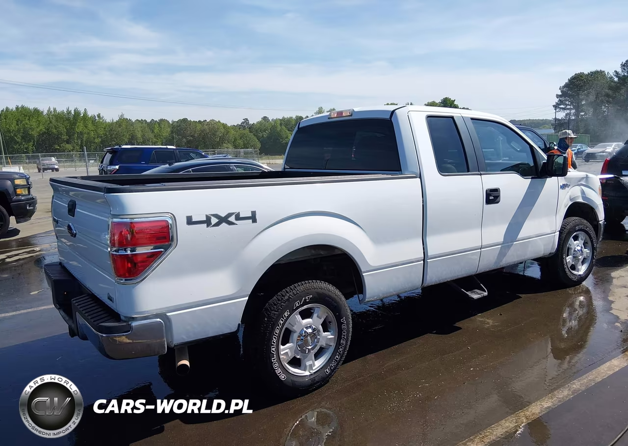 2010 Ford F-150 Fx4-Lariat-Xl-Xlt VIN:1FTFX1EV6AFD08921 - 4