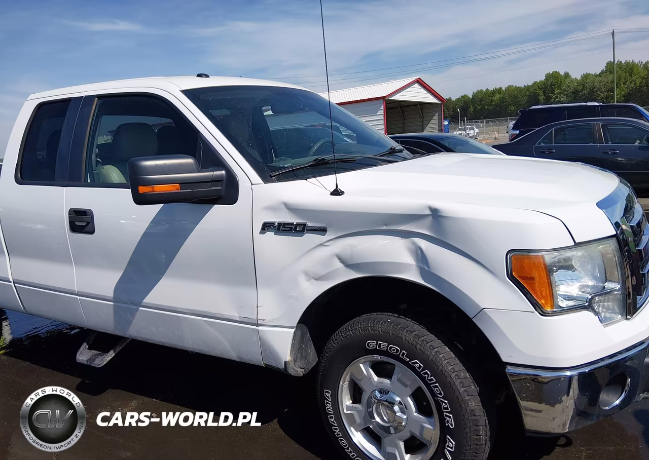 2010 Ford F-150 Fx4-Lariat-Xl-Xlt VIN:1FTFX1EV6AFD08921 - 6