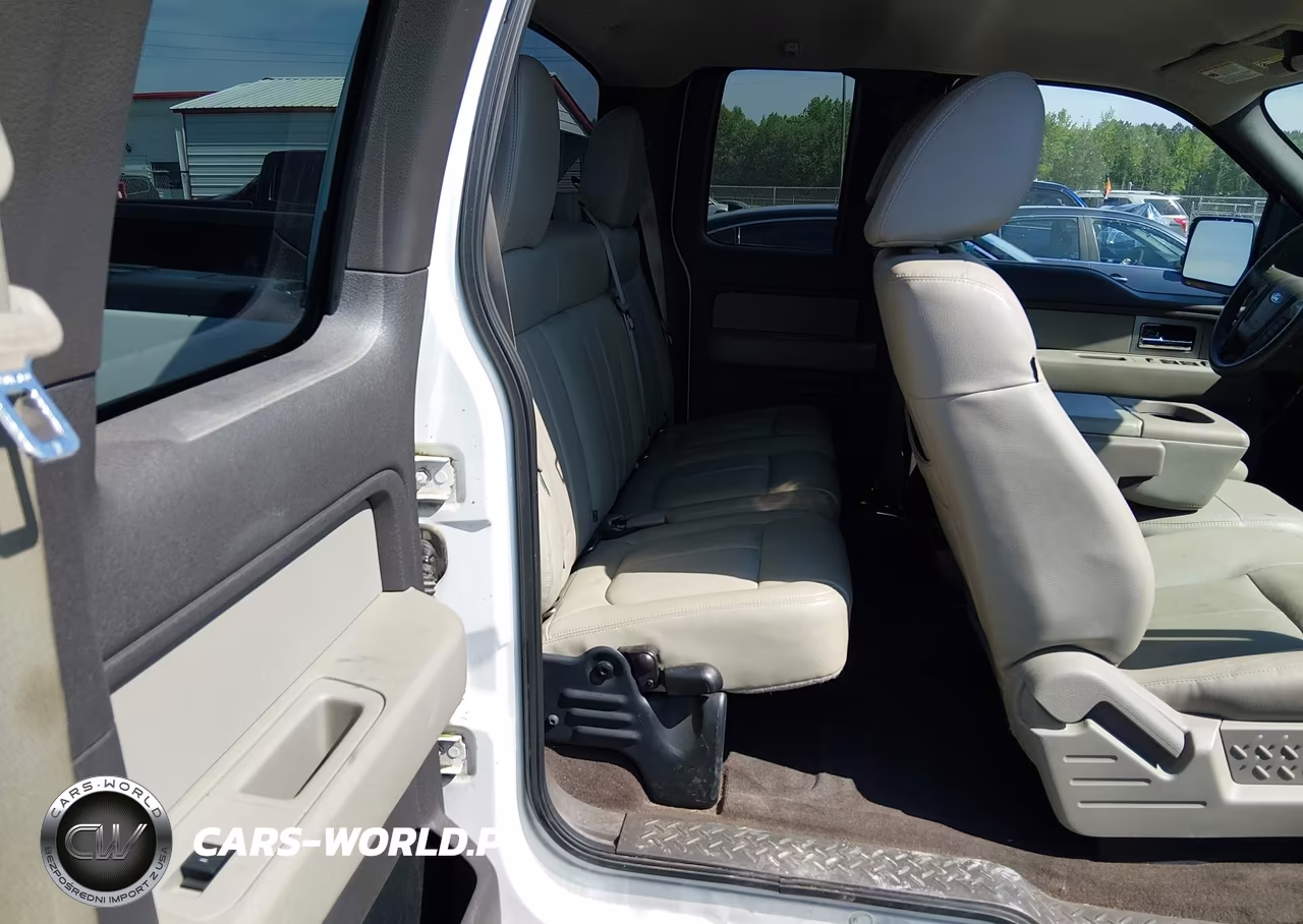 2010 Ford F-150 Fx4-Lariat-Xl-Xlt VIN:1FTFX1EV6AFD08921 - 8