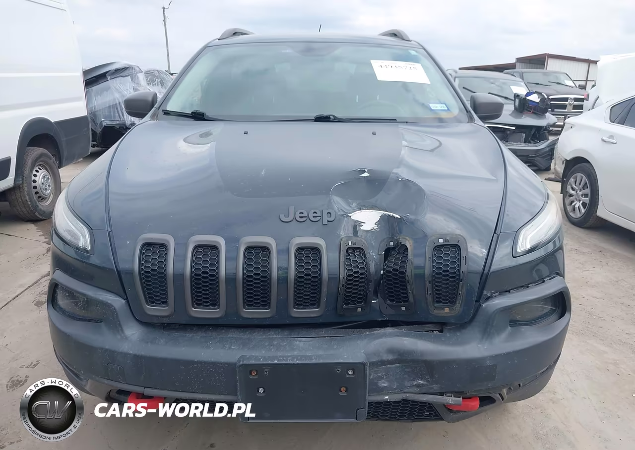 2016 Jeep Cherokee Trailhawk VIN:1C4PJMBS5GW199216 - 12