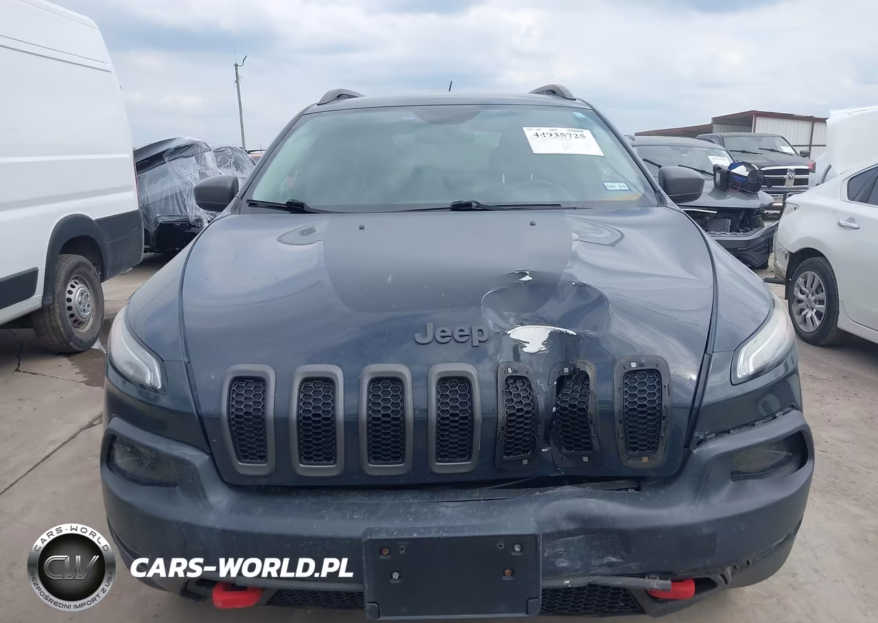 2016 Jeep Cherokee Trailhawk VIN:1C4PJMBS5GW199216 - 6