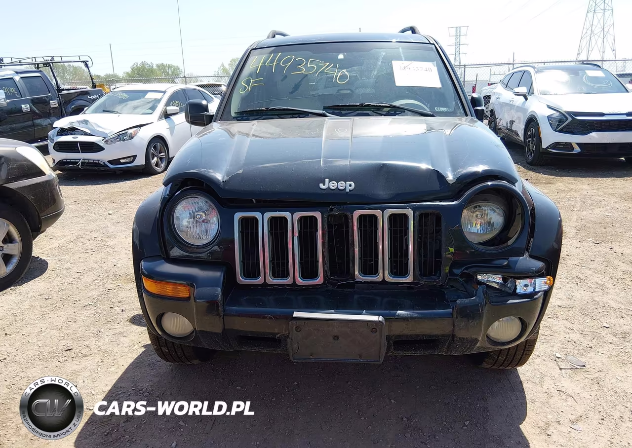 2004 Jeep Liberty Limited Edition VIN:1J4GL58K24W118668 - 12