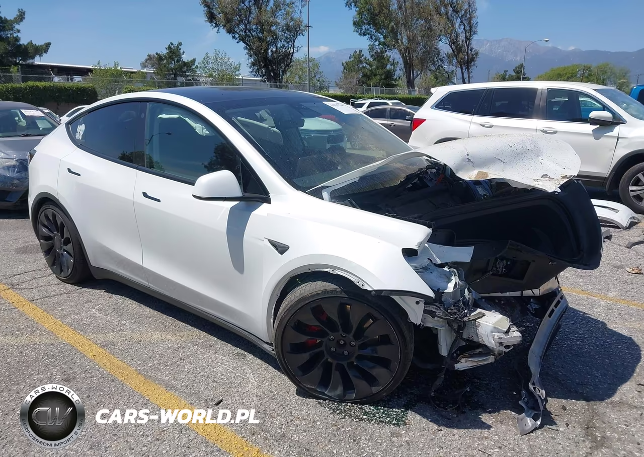 2022 Tesla Model Y Performance Dual Motor All-Wheel Drive