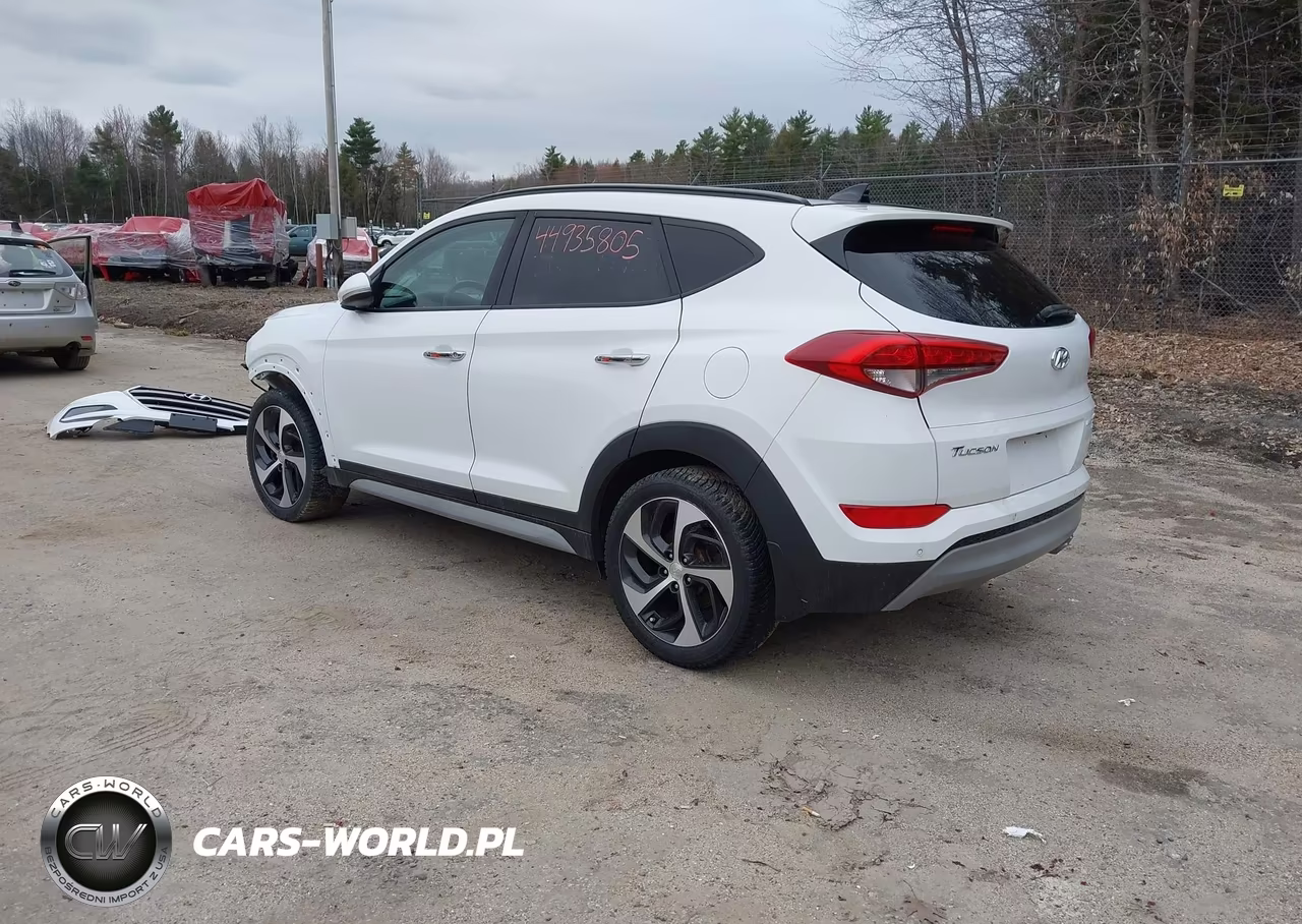 2018 Hyundai Tucson Limited VIN:KM8J3CA26JU614344 - 3