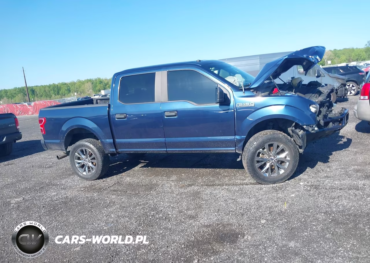 2018 Ford F-150 Xl VIN:1FTEW1EP5JFE02305 - 13
