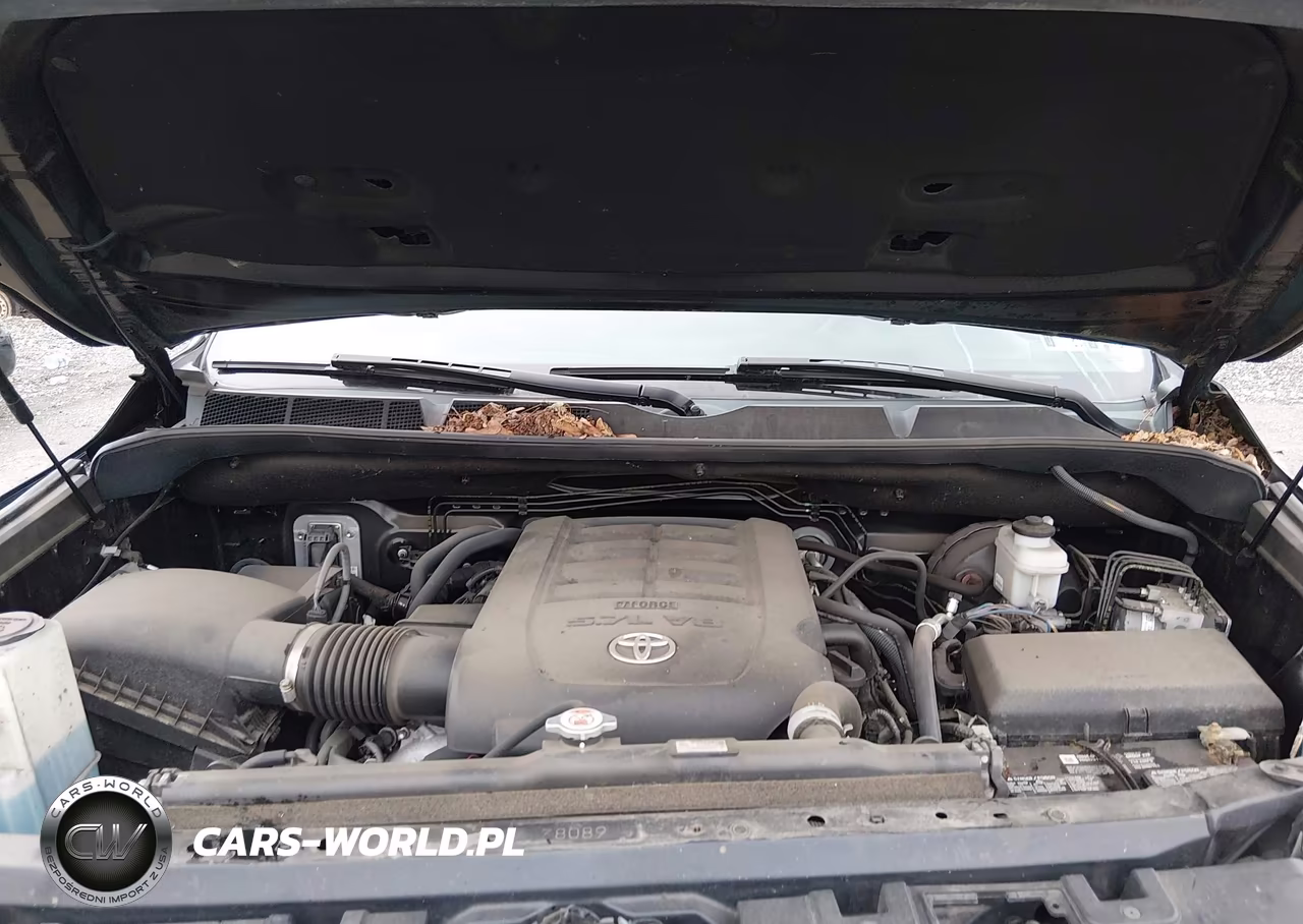 2020 Toyota Tundra 1794 Edition VIN:5TFAY5F16LX943449 - 10