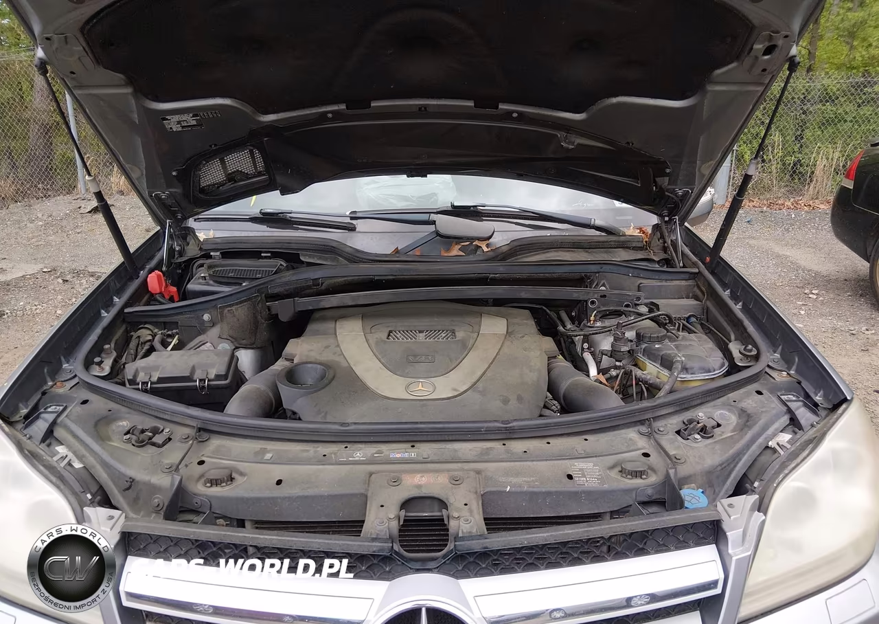 2010 Mercedes-Benz Gl 450 4Matic VIN:4JGBF7BEXAA567414 - 10