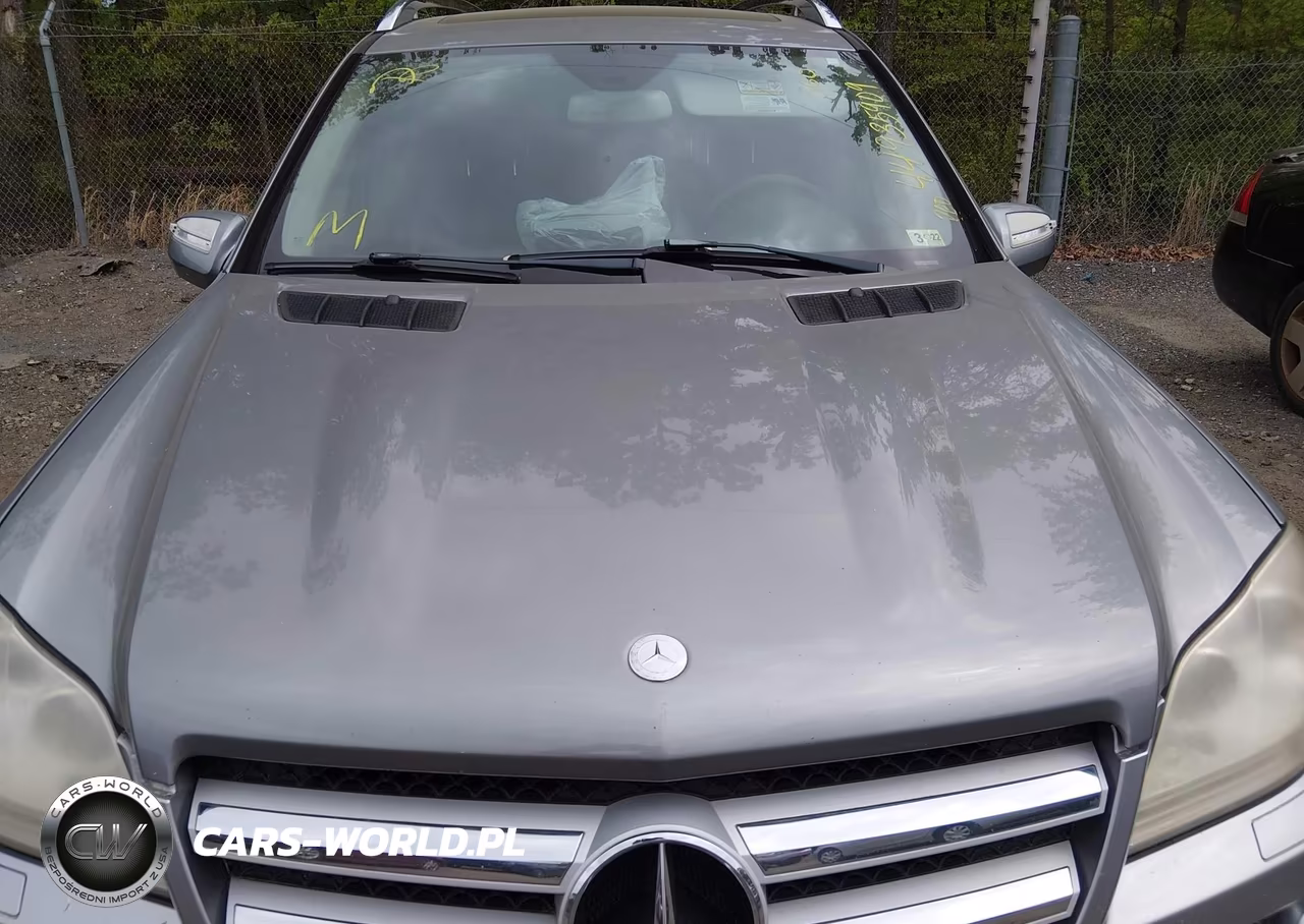 2010 Mercedes-Benz Gl 450 4Matic VIN:4JGBF7BEXAA567414 - 6