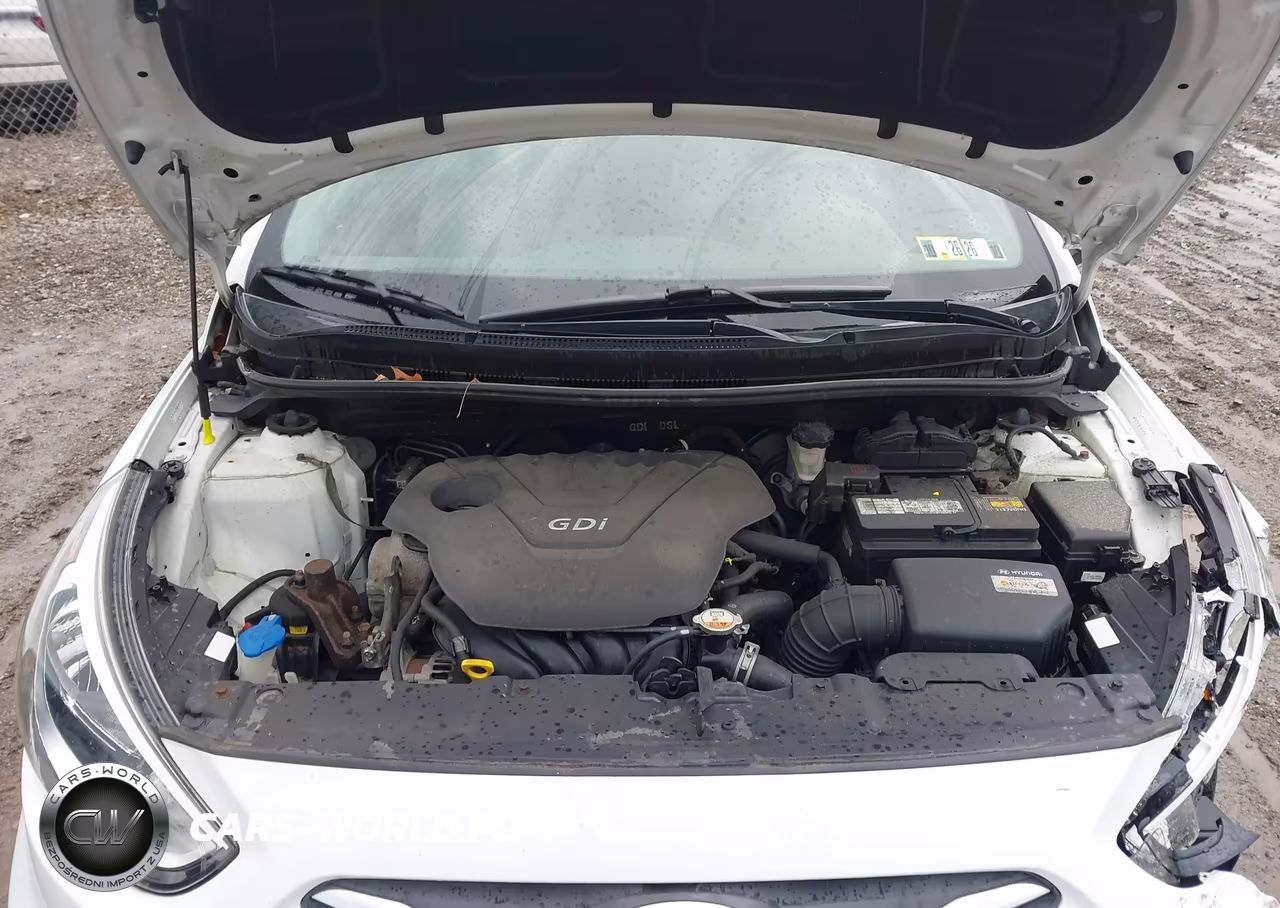 2016 Hyundai Accent Se VIN:KMHCT4AE4GU138337 - 10
