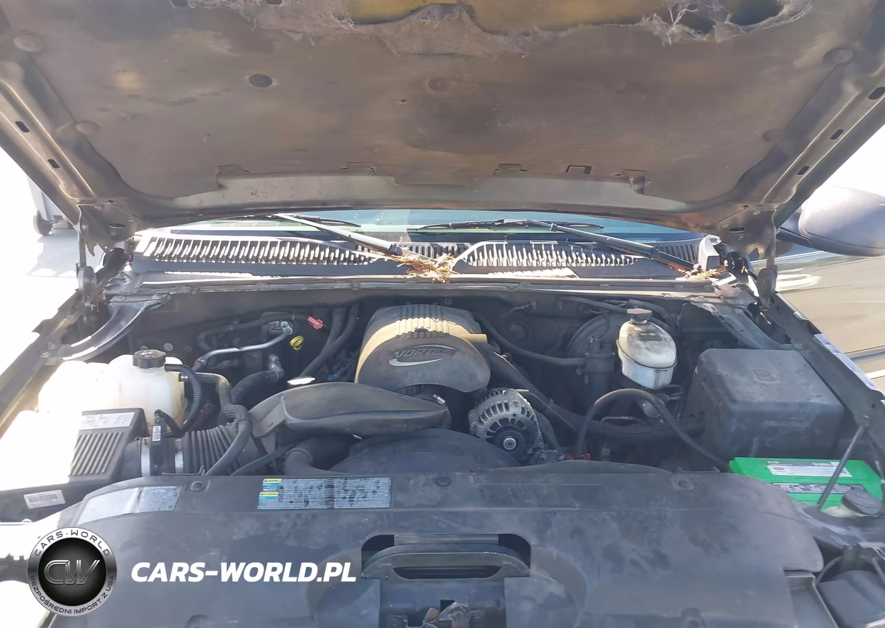 2003 Chevrolet Silverado 1500 Ls VIN:1GCEC14T13Z273181 - 10