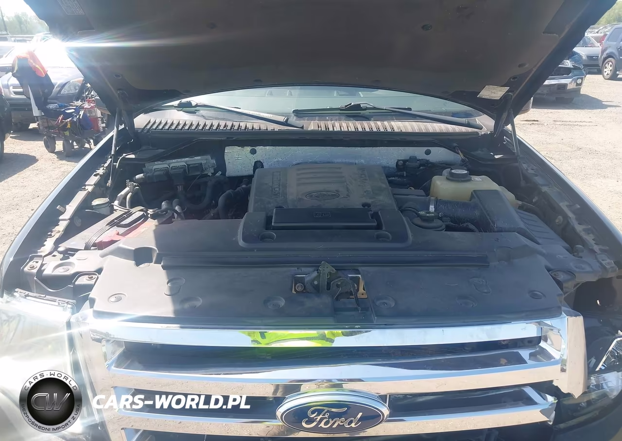 2007 Ford Expedition Eddie Bauer VIN:1FMFU18557LA70411 - 10