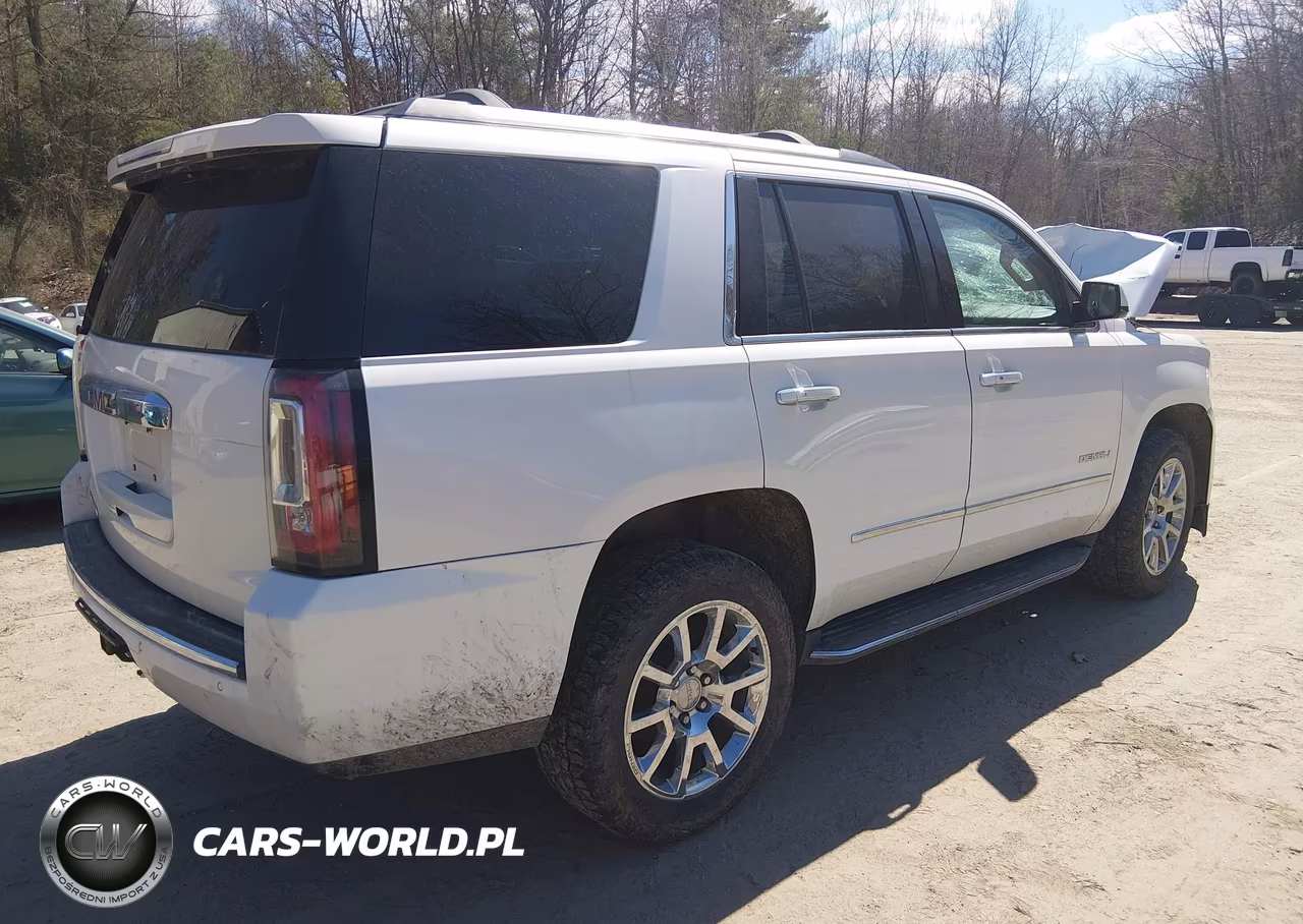 2019 GMC Yukon Denali VIN:1GKS2CKJ1KR339007 - 4