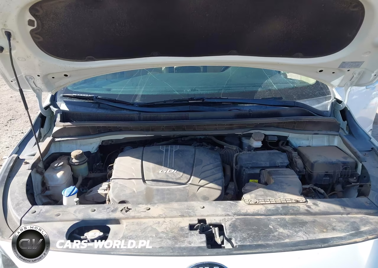 2017 Kia Sedona Lx VIN:KNDMB5C1XH6311389 - 10