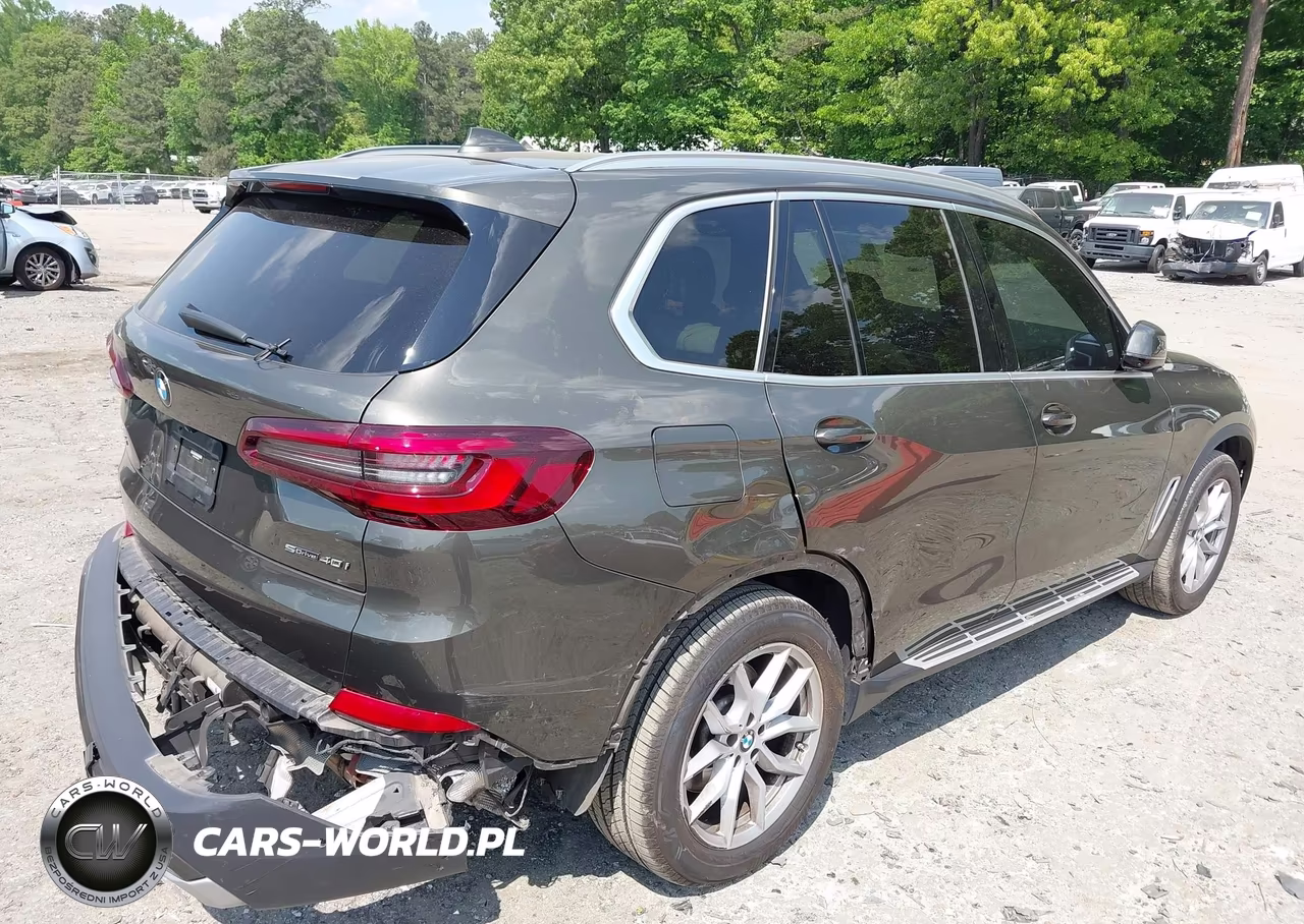 2021 BMW X5 Sdrive40I VIN:5UXCR4C01M9E69655 - 17