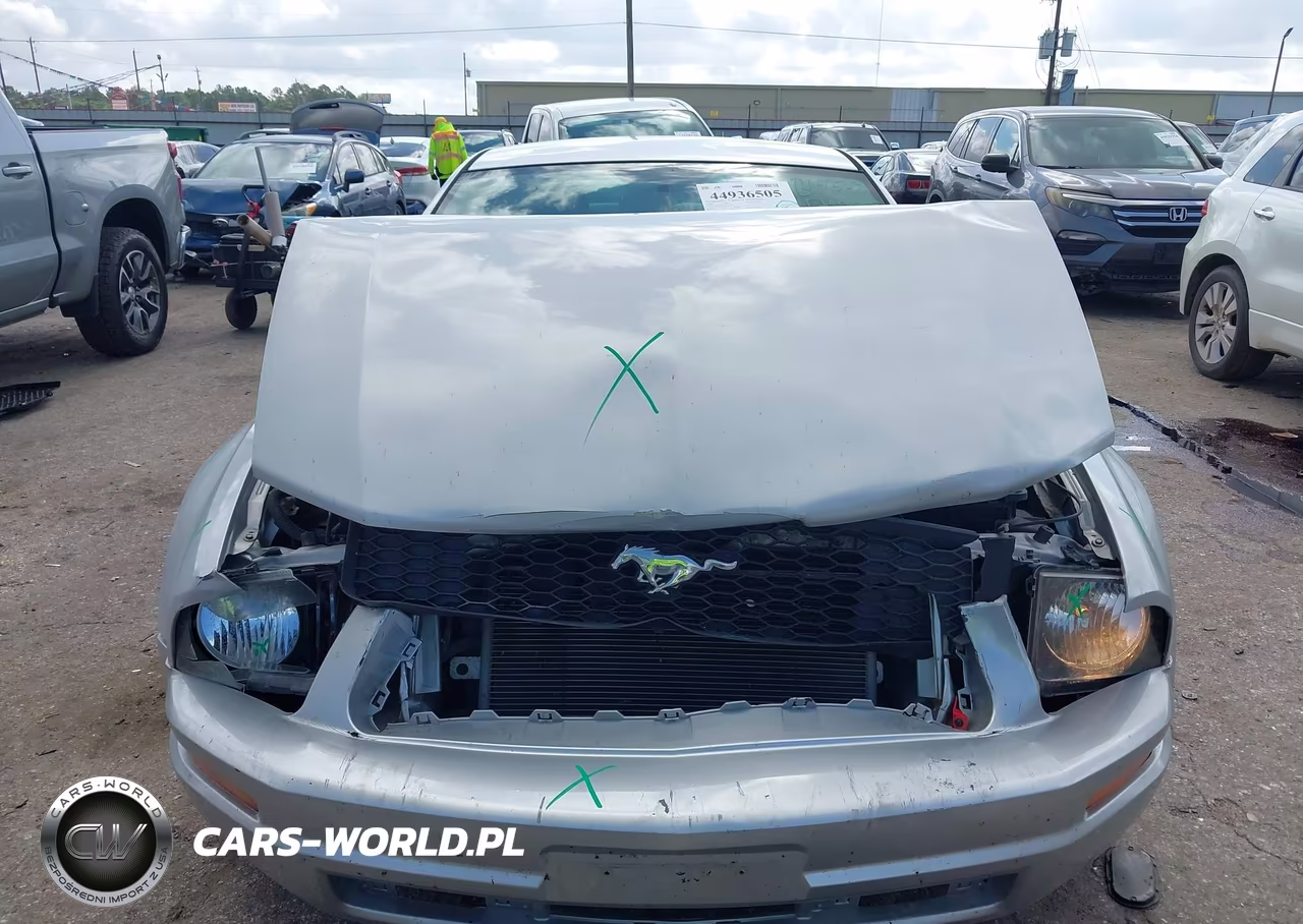 2009 Ford Mustang V6-V6 Premium VIN:1ZVHT80N195110914 - 12