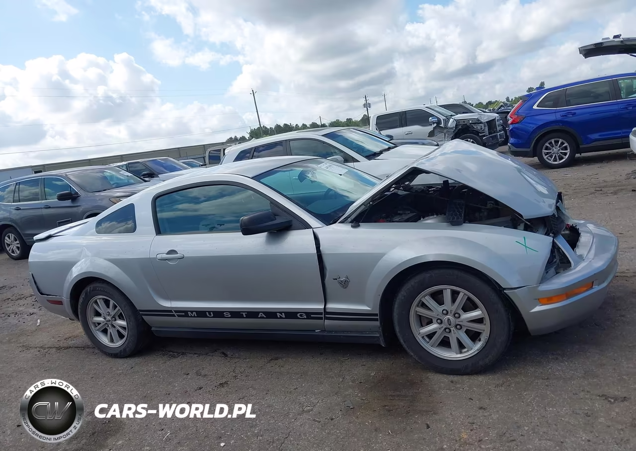 2009 Ford Mustang V6-V6 Premium VIN:1ZVHT80N195110914 - 13