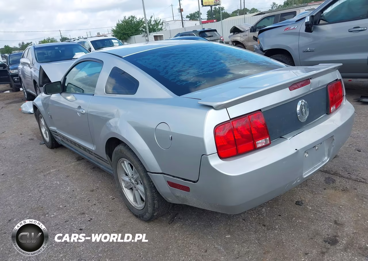 2009 Ford Mustang V6-V6 Premium VIN:1ZVHT80N195110914 - 3