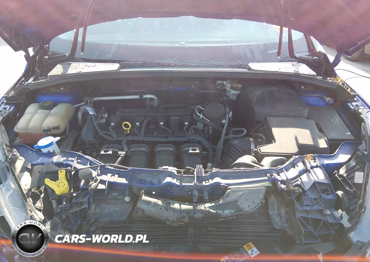2015 Ford Focus Se VIN:1FADP3F25FL340006 - 10