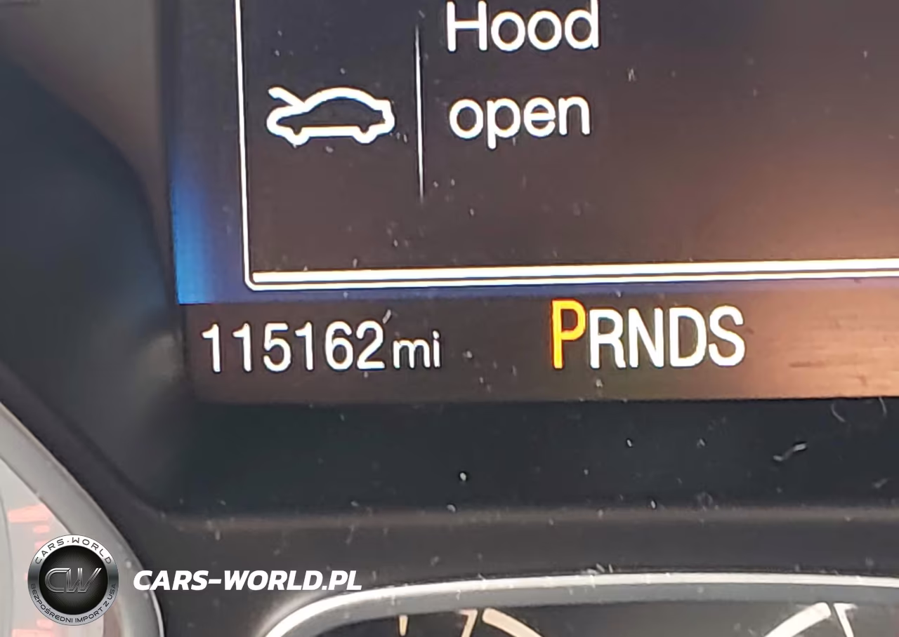 2015 Ford Focus Se VIN:1FADP3F25FL340006 - 16