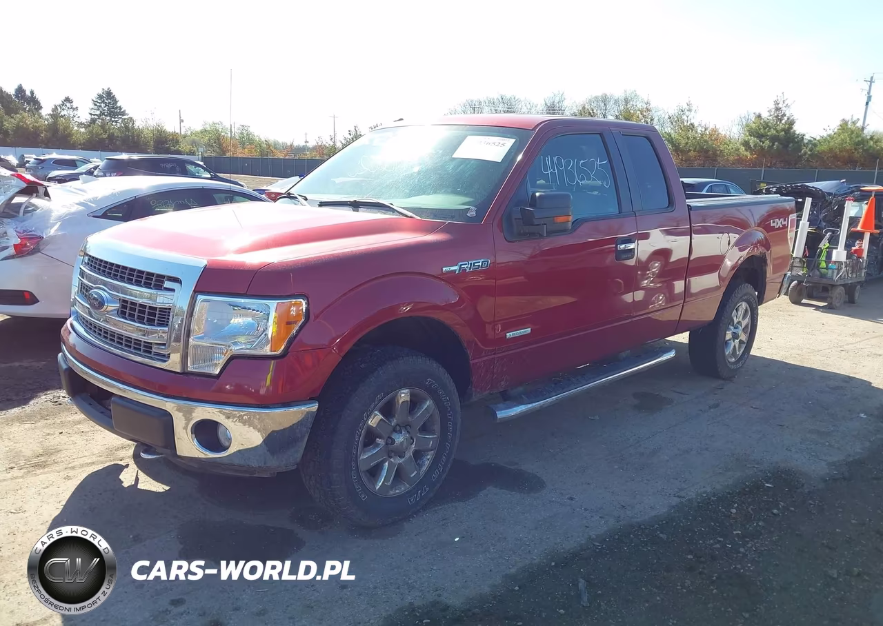 2013 Ford F-150 Xlt VIN:1FTFX1ET7DFA03687 - 2