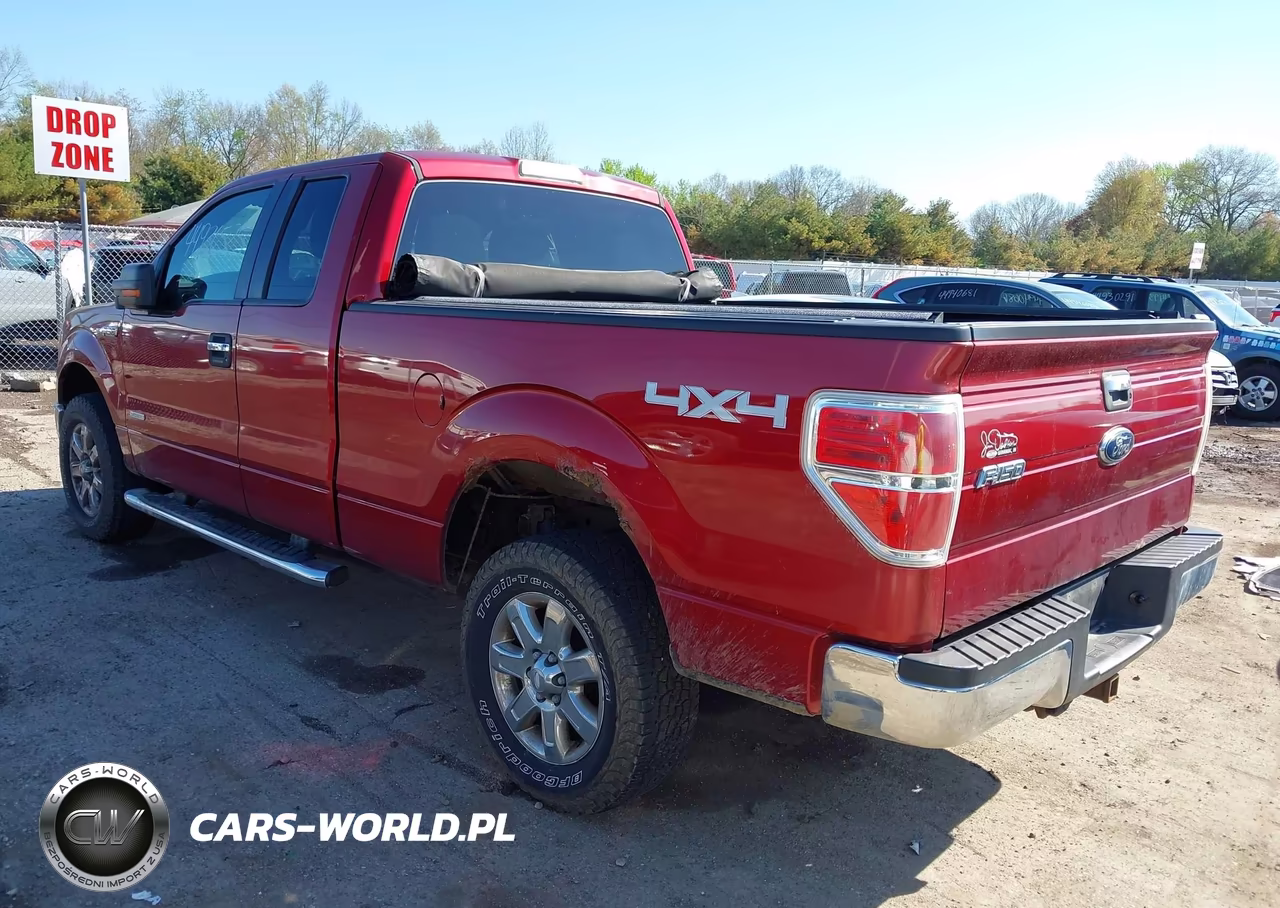 2013 Ford F-150 Xlt VIN:1FTFX1ET7DFA03687 - 3
