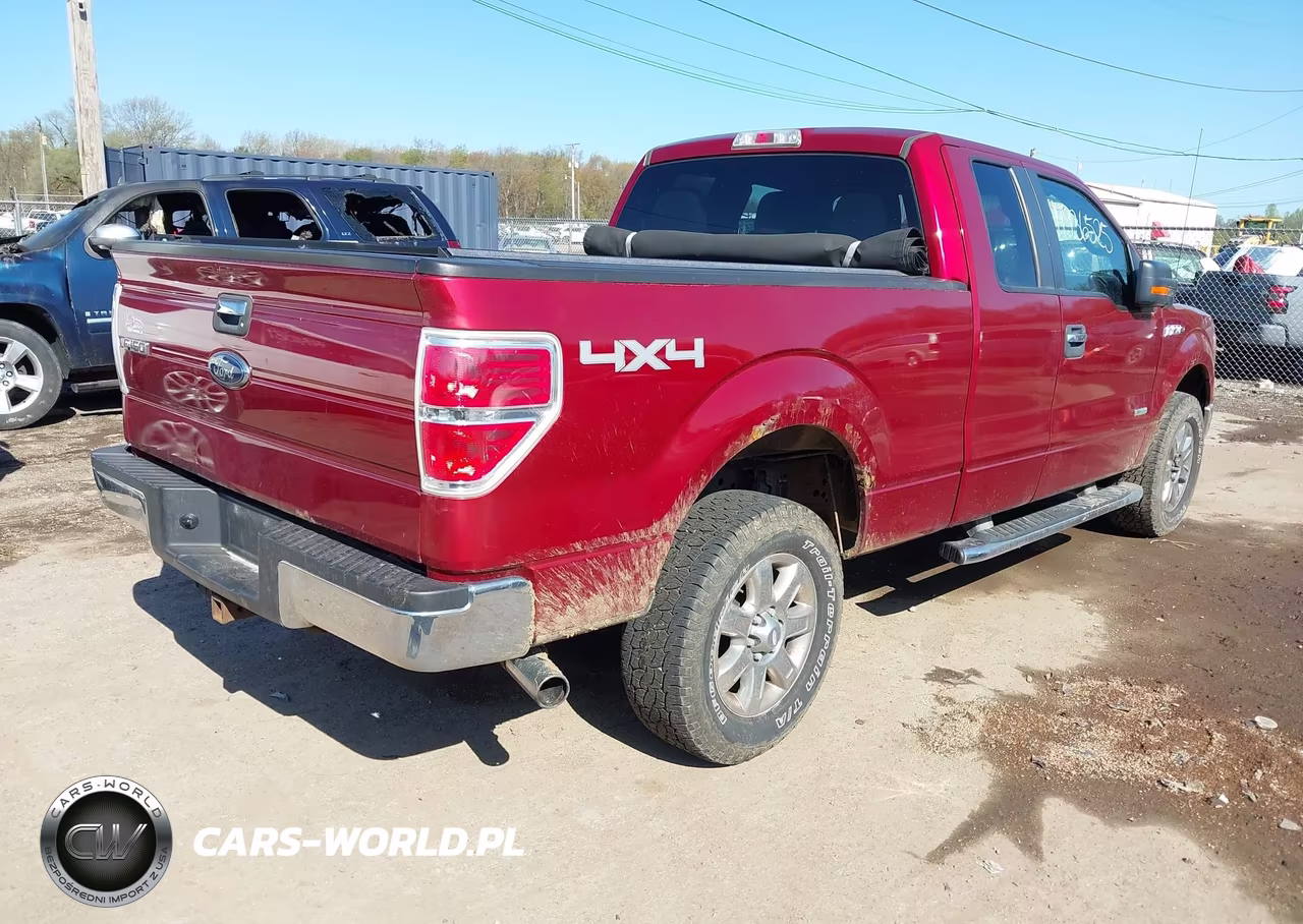 2013 Ford F-150 Xlt VIN:1FTFX1ET7DFA03687 - 4