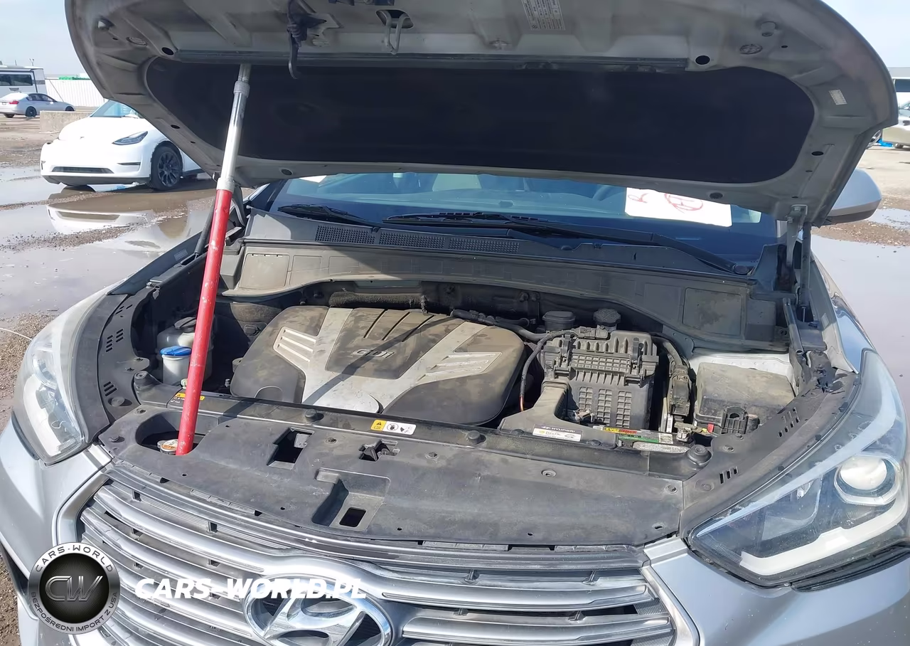 2017 Hyundai Santa Fe Se VIN:KM8SM4HF6HU185796 - 10