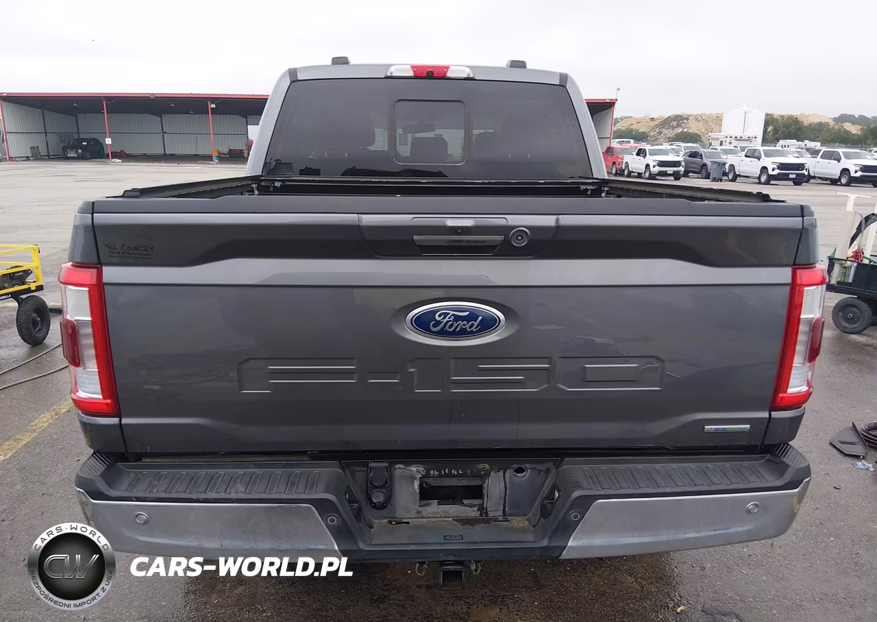 2021 Ford F-150 Lariat VIN:1FTFW1E8XMFC87945 - 17