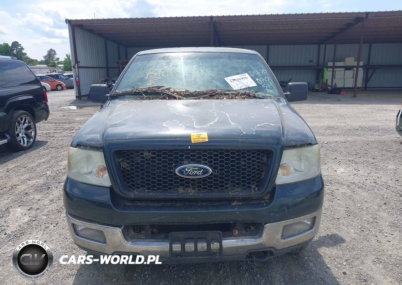 2004 Ford F-150 VIN:1FTPX04574KD80514 - 11