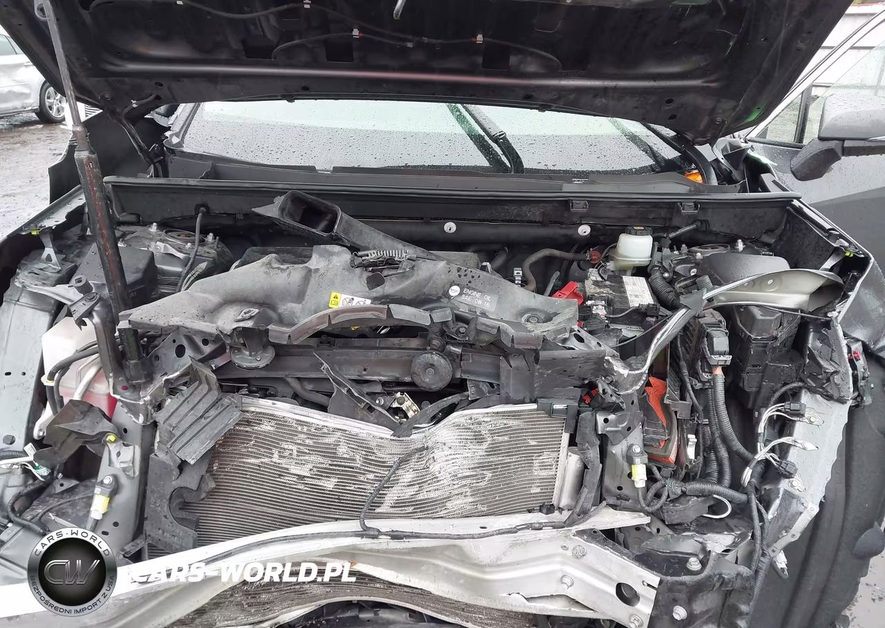 2019 Toyota Rav4 Xle Premium VIN:JTMA1RFV9KD021725 - 10