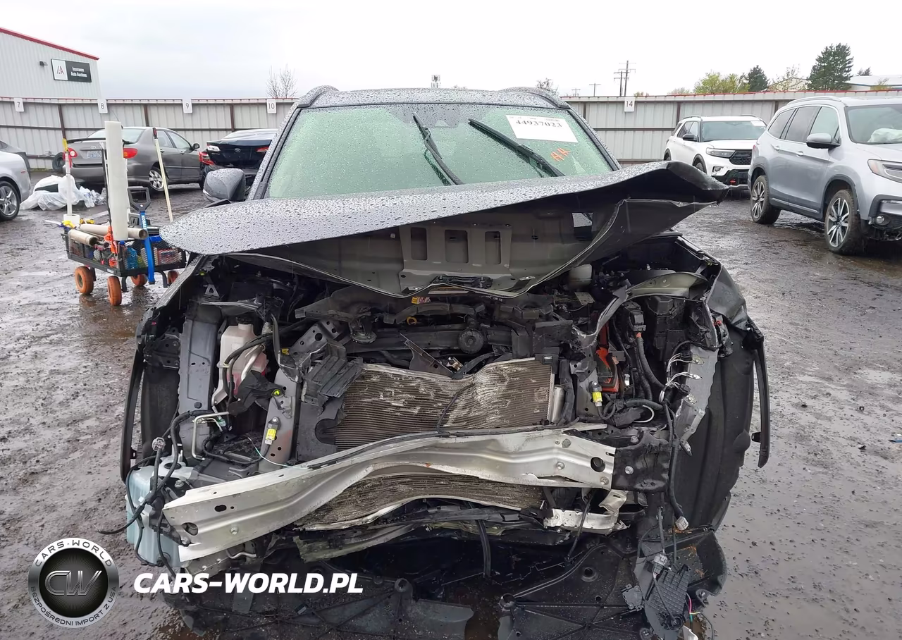 2019 Toyota Rav4 Xle Premium VIN:JTMA1RFV9KD021725 - 12