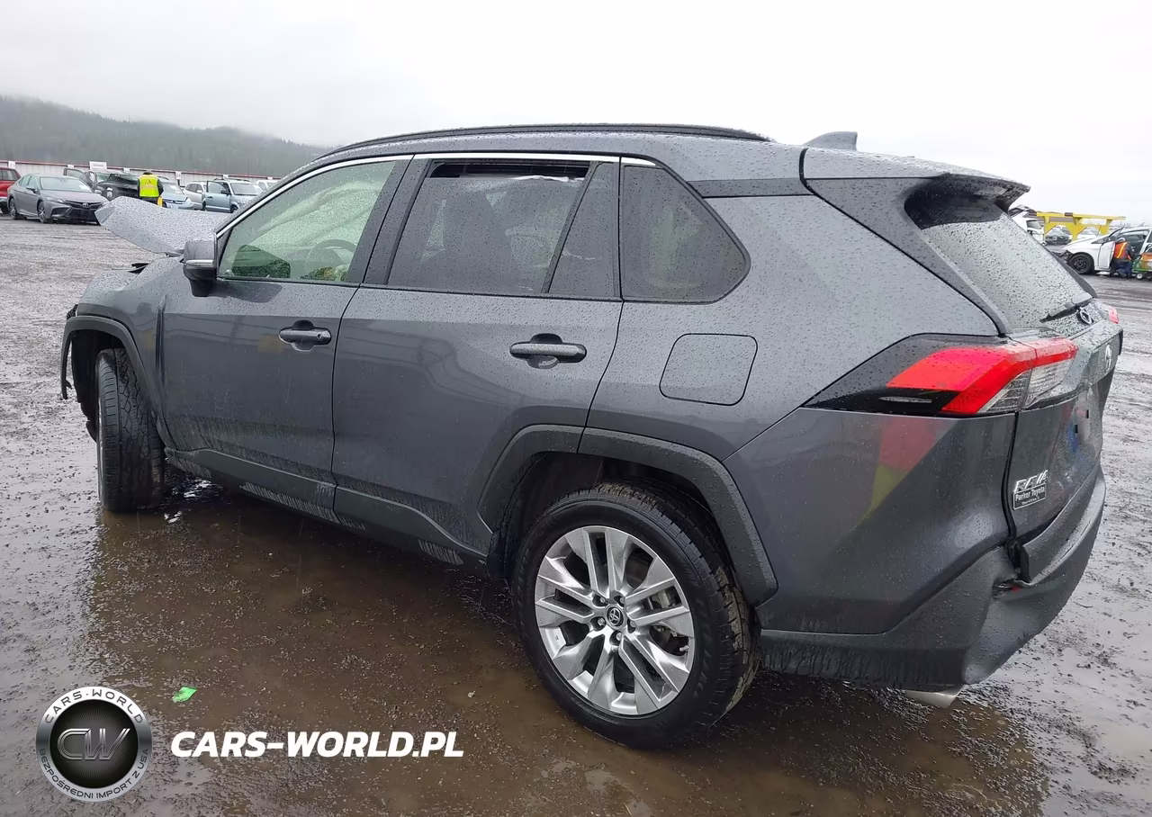 2019 Toyota Rav4 Xle Premium VIN:JTMA1RFV9KD021725 - 3