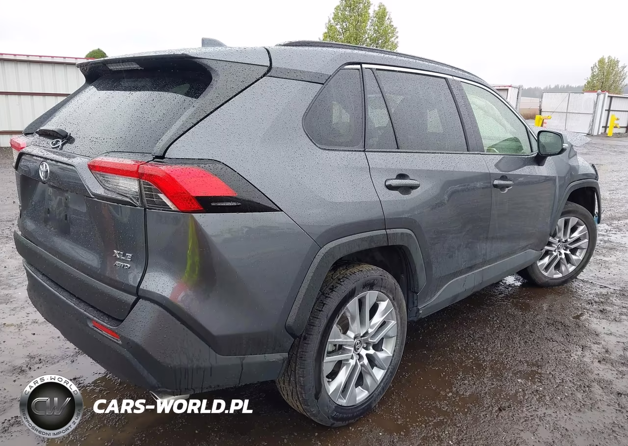 2019 Toyota Rav4 Xle Premium VIN:JTMA1RFV9KD021725 - 4