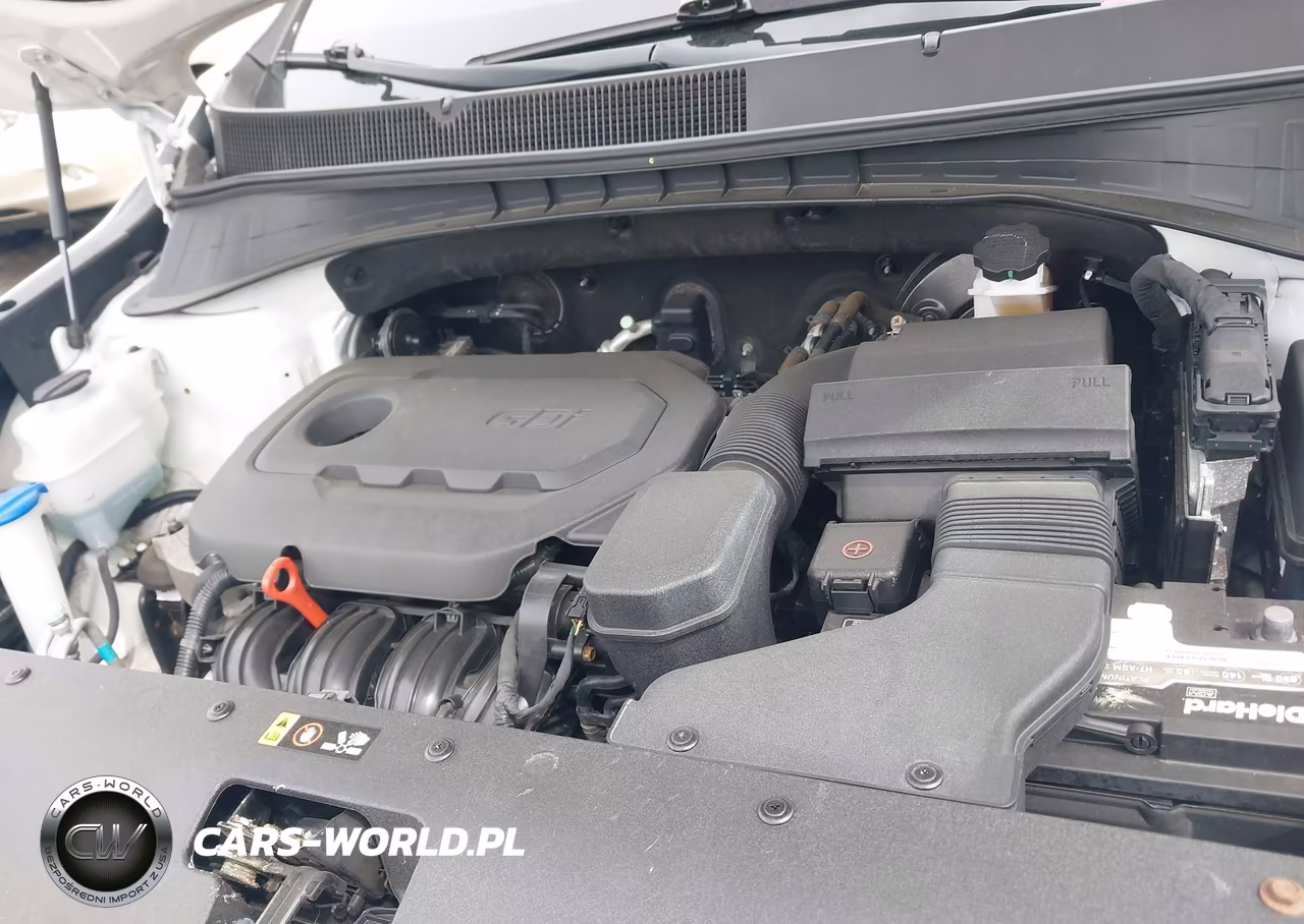 2016 Kia Sorento 2.4L Lx VIN:5XYPGDA31GG055667 - 10