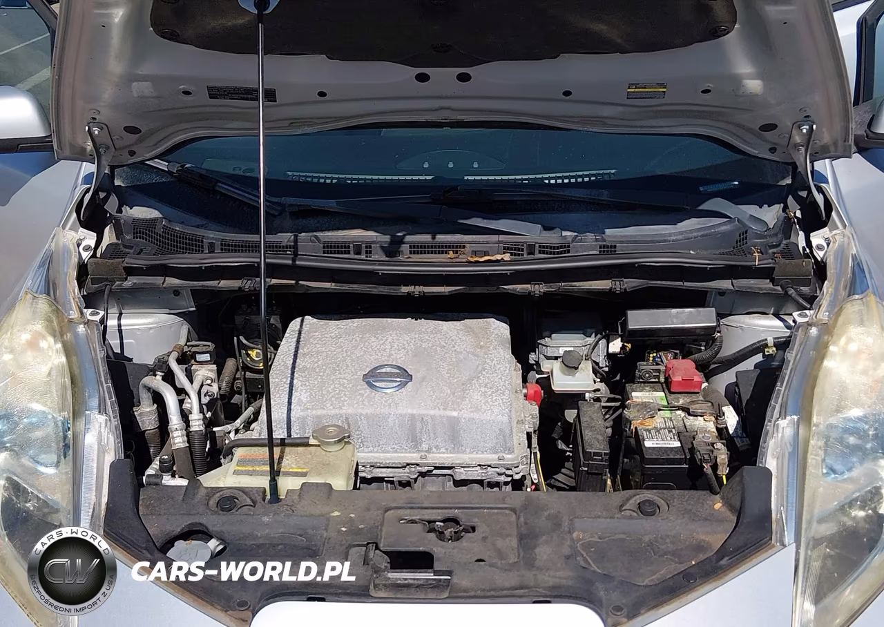 2013 Nissan Leaf Sl VIN:1N4AZ0CP3DC413124 - 10