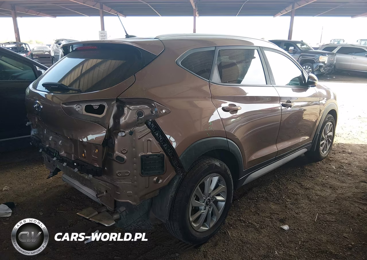 2017 Hyundai Tucson Eco VIN:KM8J33A24HU526743 - 4