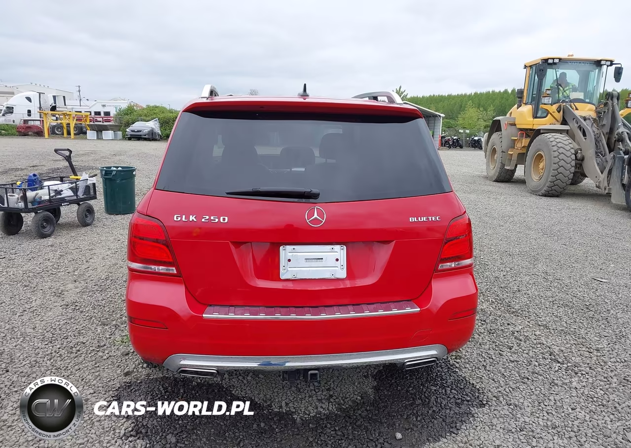 2013 Mercedes-Benz Glk 250 Bluetec 4Matic VIN:WDCGG0EB4DG132254 - 16