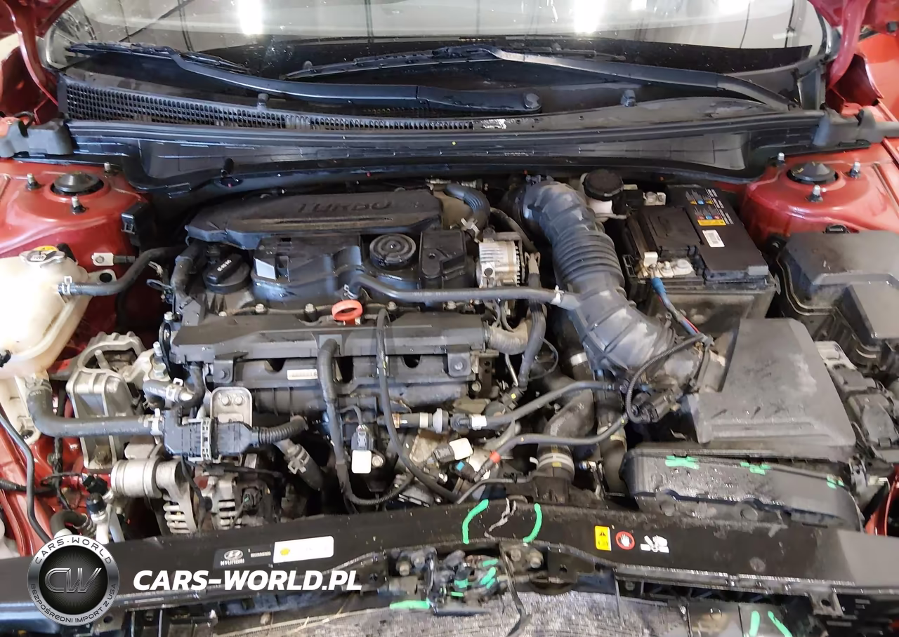 2022 Hyundai Elantra N Line VIN:KMHLR4AF6NU230358 - 10