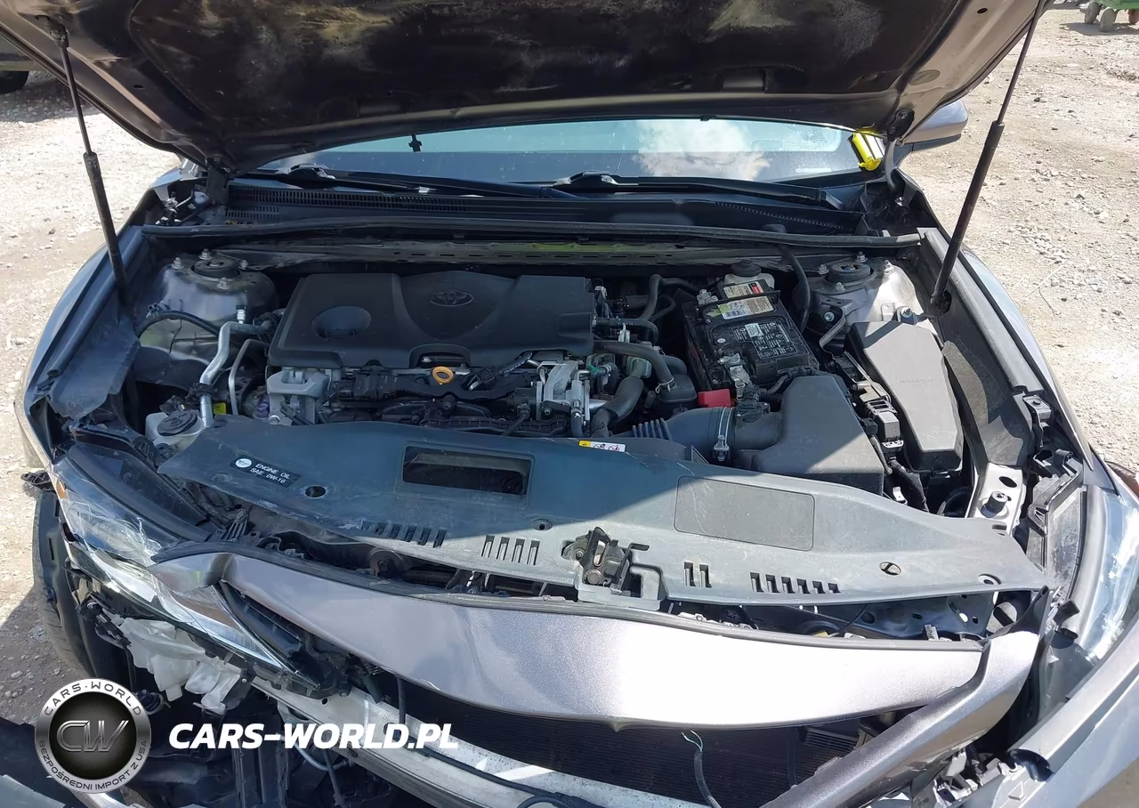2018 Toyota Camry Se VIN:4T1B11HK2JU569780 - 10