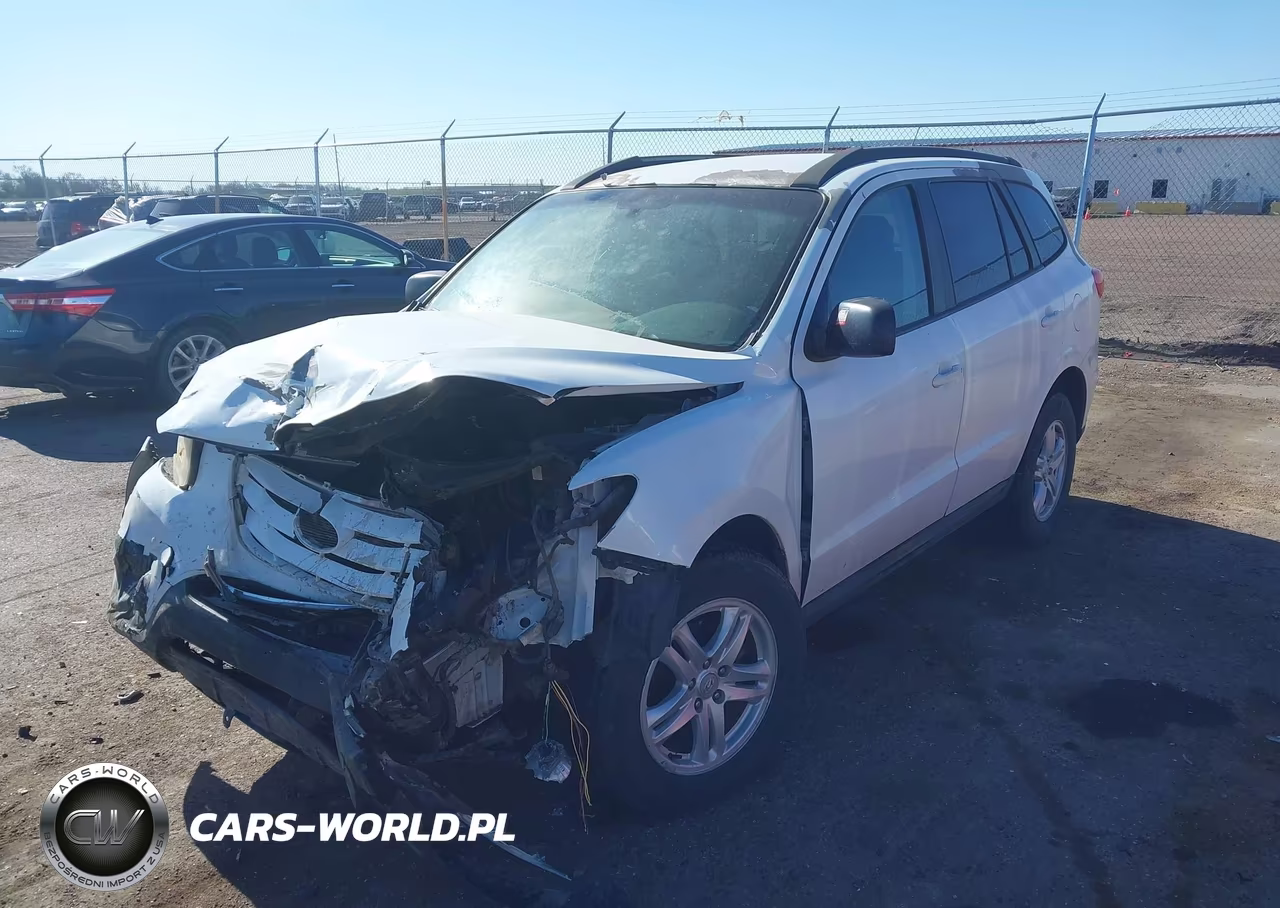 2010 Hyundai Santa Fe Gls VIN:5NMSGDAB1AH339282 - 2