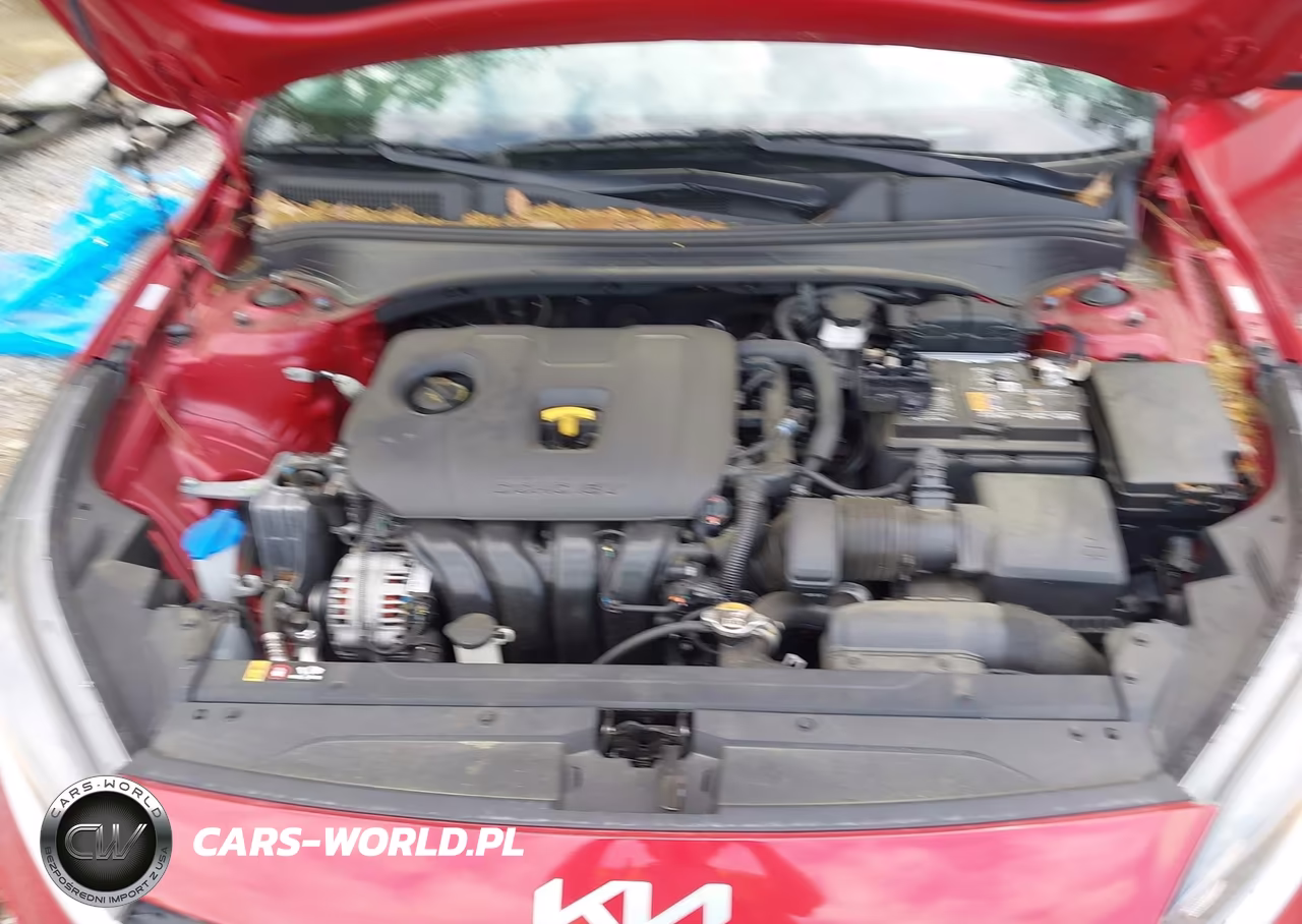 2024 Kia Forte Lxs VIN:3KPF24ADXRE750958 - 10