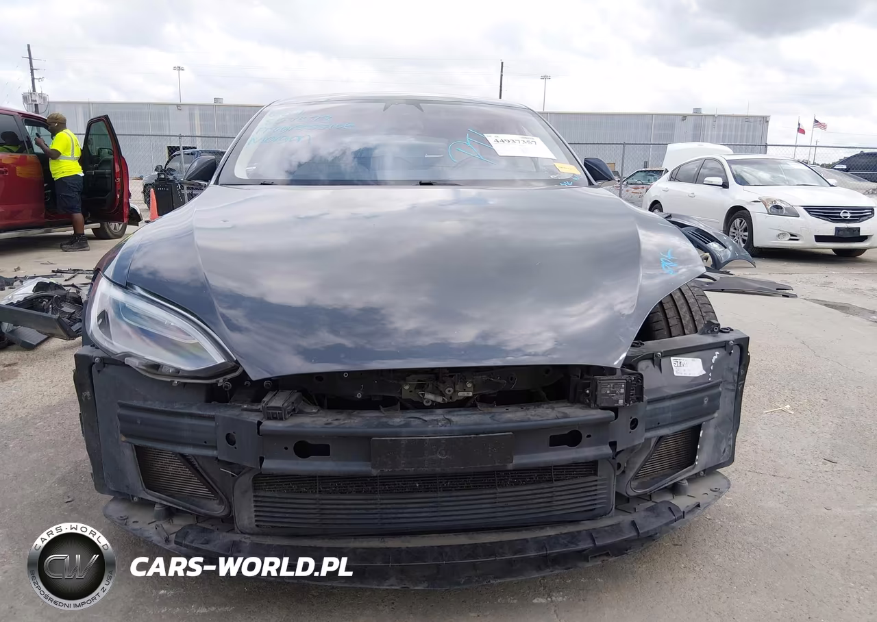 2019 Tesla Model S 100D-75D-Long Range-Standard Range VIN:5YJSA1E29KF307273 - 12