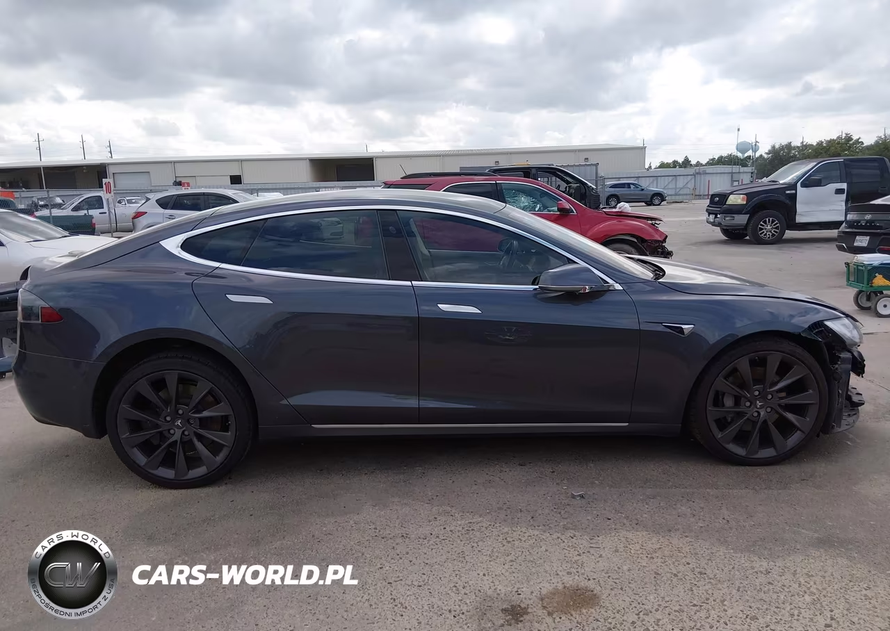 2019 Tesla Model S 100D-75D-Long Range-Standard Range VIN:5YJSA1E29KF307273 - 13