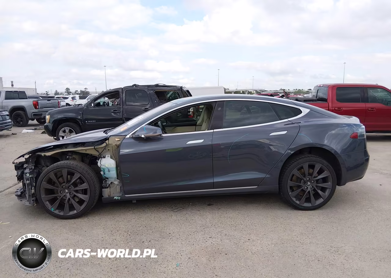 2019 Tesla Model S 100D-75D-Long Range-Standard Range VIN:5YJSA1E29KF307273 - 14