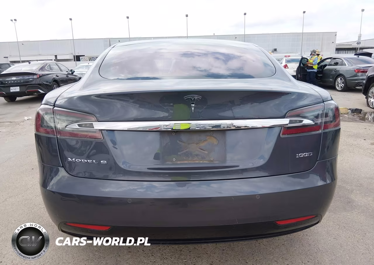 2019 Tesla Model S 100D-75D-Long Range-Standard Range VIN:5YJSA1E29KF307273 - 16