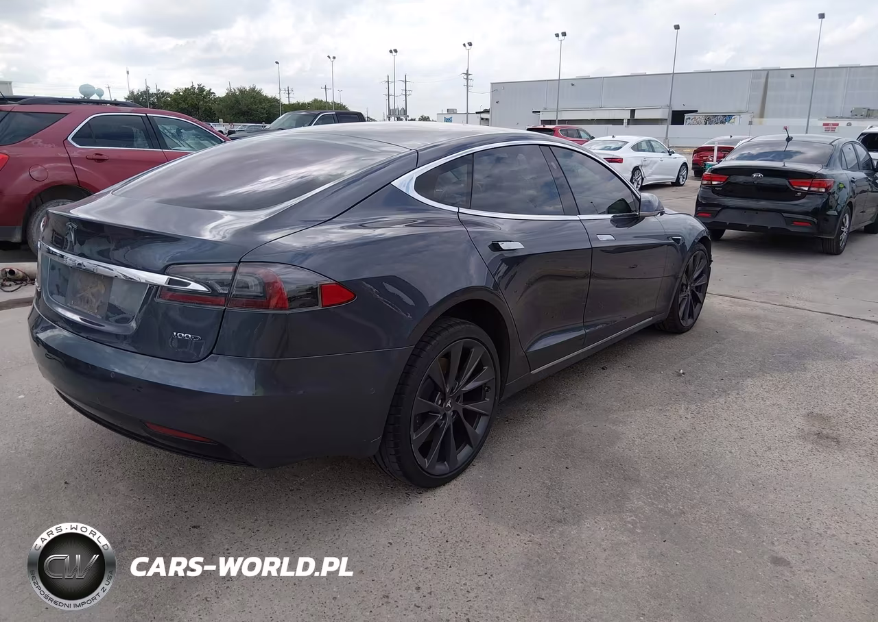2019 Tesla Model S 100D-75D-Long Range-Standard Range VIN:5YJSA1E29KF307273 - 4