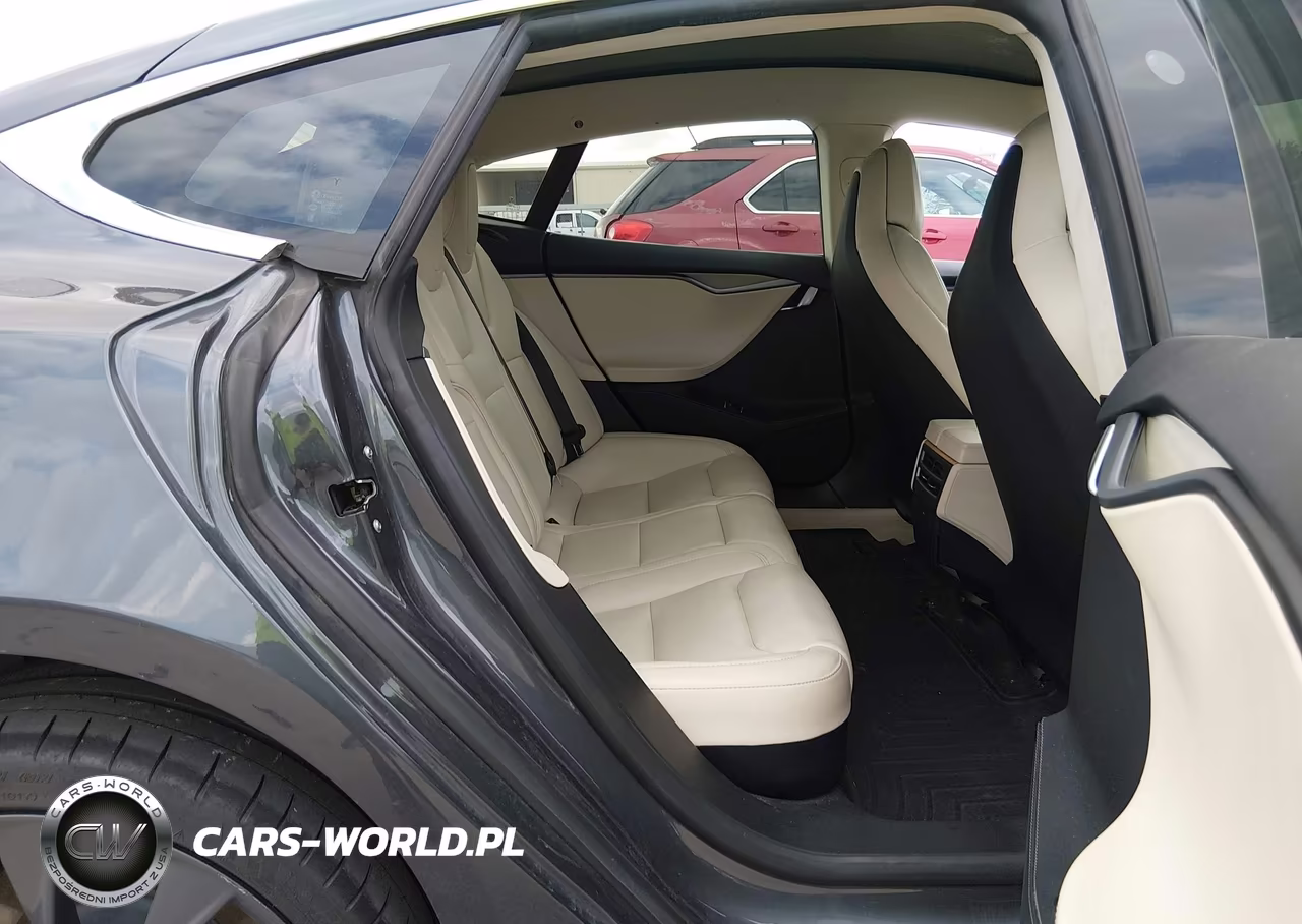 2019 Tesla Model S 100D-75D-Long Range-Standard Range VIN:5YJSA1E29KF307273 - 8