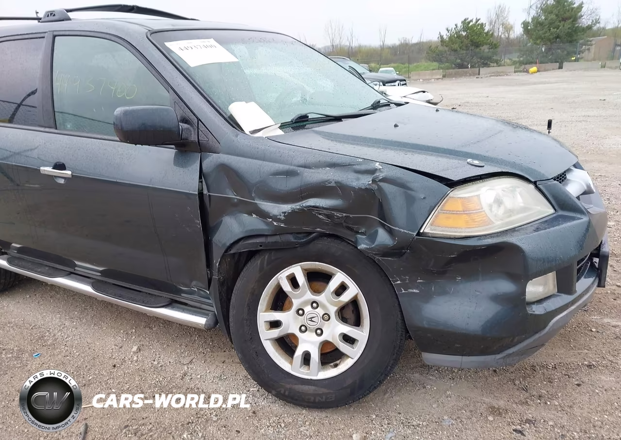 2006 Acura Mdx VIN:2HNYD18606H540386 - 6