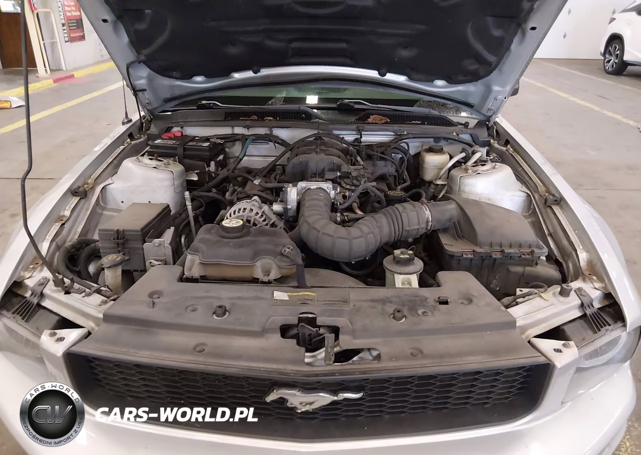 2007 Ford Mustang V6 Deluxe-V6 Premium VIN:1ZVFT80N175322040 - 10