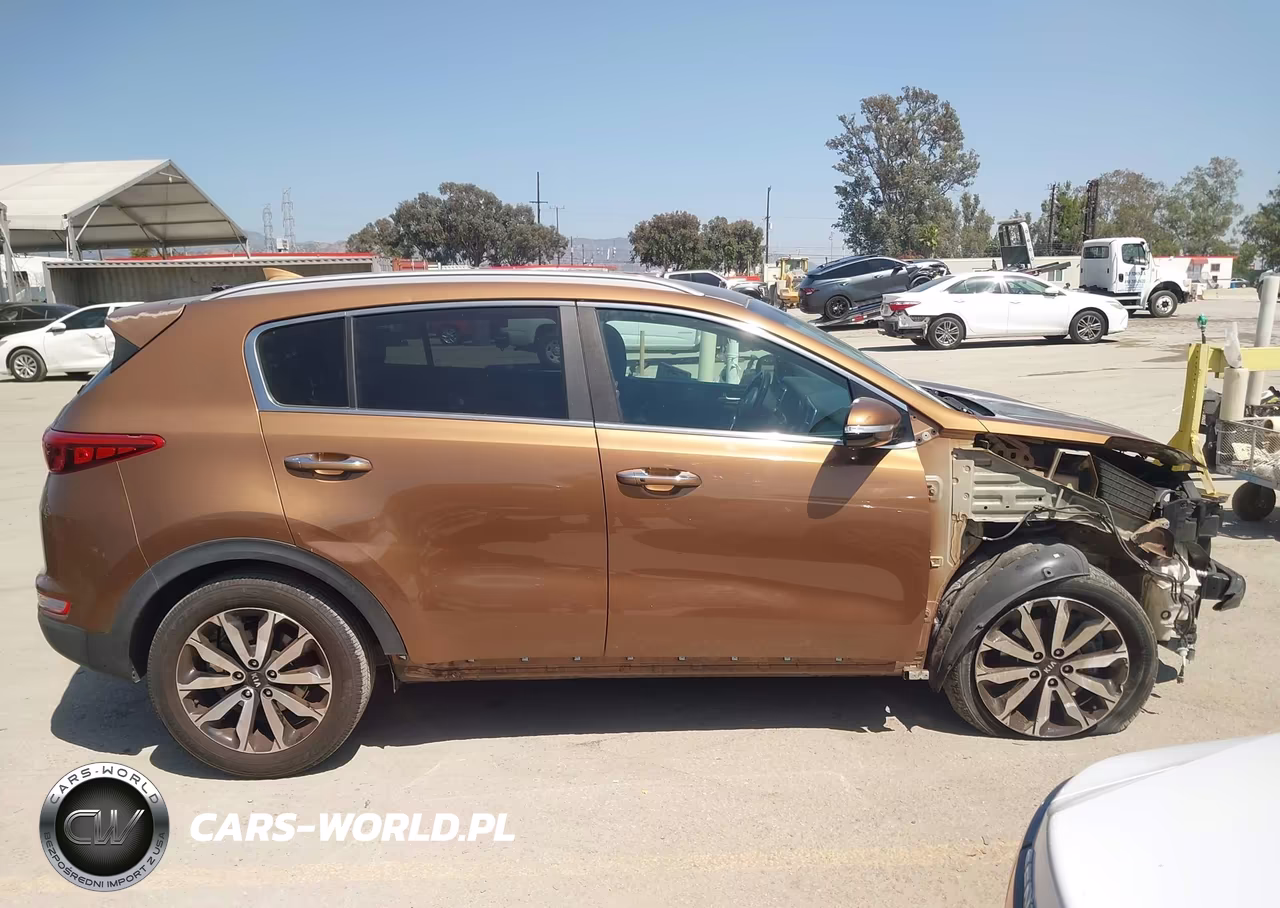 2019 Kia Sportage Ex VIN:KNDPN3AC8K7507703 - 13